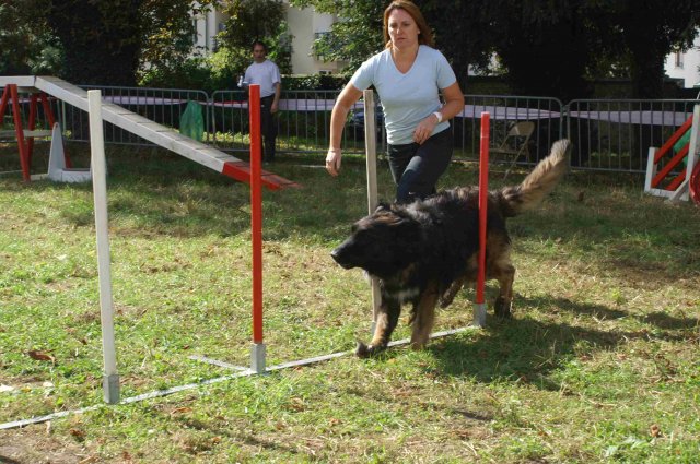 foire-haricots 2011-09-17et18